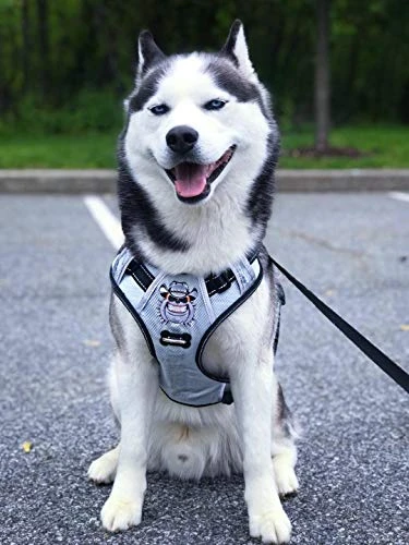 Mia's Pet Supply Silver Big Dog Harness - No-Pull Anti-Tear Adjustable Leash & Harness for Large Dogs 4 Mia's Pet Supply : Babyltrl Silver Big Dog Harness No-Pull Anti-Tear Adjustable Leashes And Harness