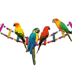 Mia's Pet Supply: Decorative Bird Cage Accessories, Aviary Perches & Training Tools for Birds 11 Mia's Pet Supply : Bird Cage Accessories Decorative Birdcage Training Aviary & Perches