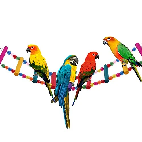 Mia's Pet Supply: Decorative Bird Cage Accessories, Aviary Perches & Training Tools for Birds 5 Mia's Pet Supply : Bird Cage Accessories Decorative Birdcage Training Aviary & Perches