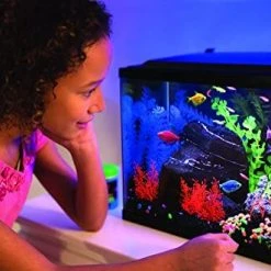 Mia's Pet Supply GloFish 20 Gallon Aquarium Kit With LED Lights, Decor Heater And Filter Fish Products
