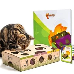 Mia's Pet Supply : Cat Interactive Treat Maze & Puzzle Feeder Cat Toys