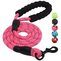 Mia's Pet Supply Strong Dog Leash With Comfortable Padded Handle Leashes And Harness