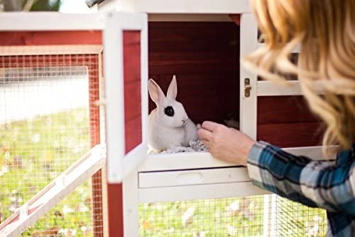 Mia's Pet Supply Advantek Stilt House Rabbit Hutch - Durable Outdoor Rabbit Cage with Weatherproof Design 9 Mia's Pet Supply Advantek The Stilt House Rabbit Hutch Rabbit Houses & Accessories