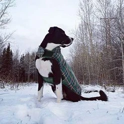 Mia's Pet Supply KAMA BRIDAL Plaid Reversible Dog Fleece Vest - Warm & Stylish Dog Apparel 33 Mia's Pet Supply Apparel KAMA BRIDAL Plaid Dog Fleece Vest, Reversible Warm Dog Clothes,