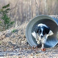 Mia's Pet Supply Dog Toys : PlayfulSpirit Durable Natural Rubber Ball On A Rope