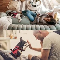 Mia's Pet Supply Leashes And Harness Service Dog Harness, No Pull Harness With Handle