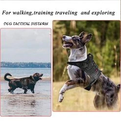 Mia's Pet Supply Tactical Dog Vest Harness & Leash Set - Durable, Adjustable, Reflective for Safety 17 Mia's Pet Supply Leashes And Harness Tactical Service Dog Vest Harness