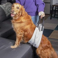 Mia's Pet Supply Labra Plush Soft Dog Canine K9 Sling