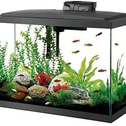 Mia's Pet Supply Aqueon Aquarium Fish Tank Kit, 20 Gallon : Pet Supplies