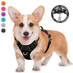 Mia's Pet Supply BARKBAY No Pull Dog Harness Large Step In Reflective Dog Harness Leashes And Harness