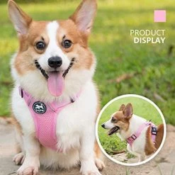 Mia's Pet Supply Leashes And Harness PoyPet Reflective Soft Breathable Mesh Dog Harness