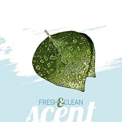 Budget Mia's Pet Supply Green Groom Odor Eliminator Dog Shampoo - 1 Gallon | Fresh Scent for Dogs & Cats 12 Mia's Pet Supply Green Groom Odor Eliminator Dog Shampoo, 1 Gallon