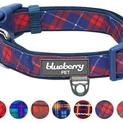 Mia's Pet Supply Blueberry Style Designer Padded Adjustable Dog Collar