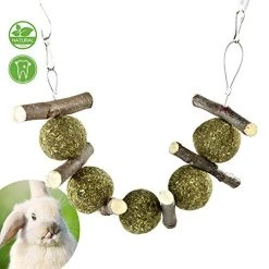 Mia's Pet Supply : PETLAOO Bunny Chew Toys For Teeth, Improve Dental Health -