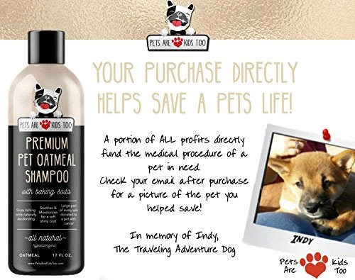 Mia's Pet Supply Oatmeal Anti-Itch Shampoo & Conditioner for Dogs & Cats - Best Deal for Pet Hygiene 5 Mia's Pet Supply : Pet Oatmeal Anti-Itch Shampoo & Conditioner In One!