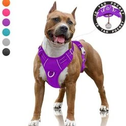 Mia's Pet Supply BARKBAY No Pull Dog Harness Large Step In Reflective Dog Harness Leashes And Harness
