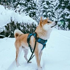 Mia's Pet Supply Embark Adventure Harness for Dogs - Durable & Comfortable Leash & Harness Set 15 Mia's Pet Supply Leashes And Harness : Embark Adventure Harness For Dogs