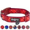 Mia's Pet Supply Blueberry Style Designer Padded Adjustable Dog Collar