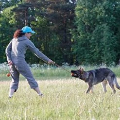 Mia's Pet Supply Dog Toys : PlayfulSpirit Durable Natural Rubber Ball On A Rope