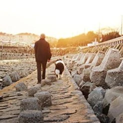 Mia's Pet Supply Dihapet Dog Harness & Service Vest - Top 10 Rated for Comfort & Safety 20 Mia's Pet Supply Dihapet Dog Harness, Service Dog Vest