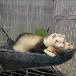 Mia's Pet Supply EONMIR Small Animal Sponge Double Hammock,