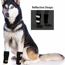 Mia's Pet Supply Pair Of NeoAlly Dog Front Leg Braces Canine Carpal Support