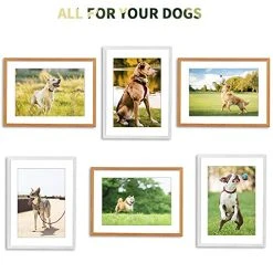 Mia's Pet Supply Tactical Dog Collar And Bungee Leash