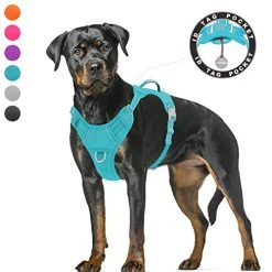 Mia's Pet Supply BARKBAY No Pull Dog Harness Large Step In Reflective Dog Harness Leashes And Harness