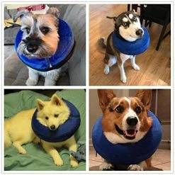 Mia's Pet Supply Apparel VST Comfortable Protective Inflatable Cone Collar