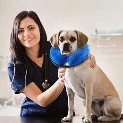 Mia's Pet Supply Apparel VST Comfortable Protective Inflatable Cone Collar