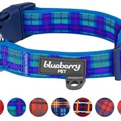 Mia's Pet Supply Blueberry Style Designer Padded Adjustable Dog Collar