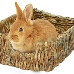 Mia's Pet Supply Rabbit Houses & Accessories SunGrow Portable Grass Bed