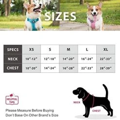 Mia's Pet Supply Leashes And Harness PoyPet Reflective Soft Breathable Mesh Dog Harness