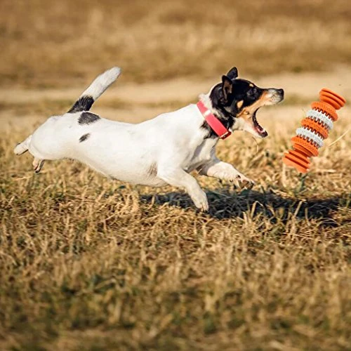 Mia's Pet Supply Dog Treat Bone - Nontoxic Dental Chew Toy for Dogs, Best Sale 💯 5 Mia's Pet Supply Dog Treat Bone Nontoxic Dental Chew Bone