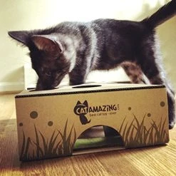 Mia's Pet Supply : Cat Interactive Treat Maze & Puzzle Feeder Cat Toys