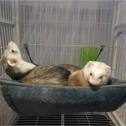 Mia's Pet Supply EONMIR Small Animal Sponge Double Hammock,