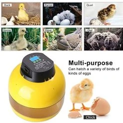 Mia's Pet Supply Magicfly Digital Mini Semi Automatic Egg Incubator 10 Eggs Poultry Hatcher
