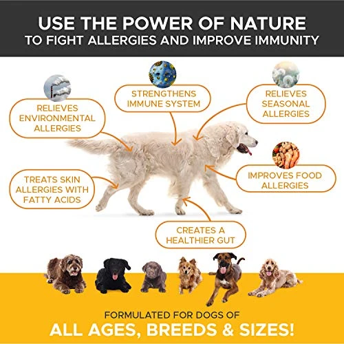 Pet Honesty Allergy Relief Immunity Supplement for Dogs - Best Reviews at Mia's Pet Supply 2 Mia's Pet Supply : Pet Honesty Allergy Relief Immunity Supplement For Dogs