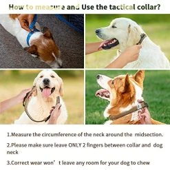 Mia's Pet Supply Tactical Dog Collar And Bungee Leash