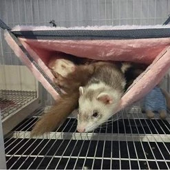 Mia's Pet Supply EONMIR Small Animal Sponge Double Hammock Rabbit Houses & Accessories