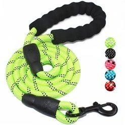 Mia's Pet Supply Strong Dog Leash With Comfortable Padded Handle Leashes And Harness