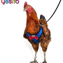 Mia's Pet Supply Yesito Chicken Harness Hen Size With 6ft Matching Leash