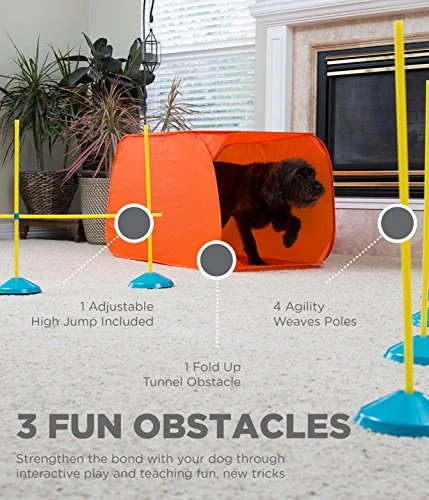 Outward Hound ZipZoom Indoor Dog Agility Training Kit for Dogs - Fun & Interactive Pet Training Set 2 Mia's Pet Supply Outward Hound ZipZoom Indoor Dog Agility Training For Dogs : Outward Hound