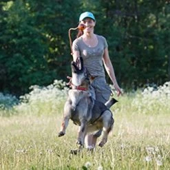 Mia's Pet Supply Dog Toys : PlayfulSpirit Durable Natural Rubber Ball On A Rope