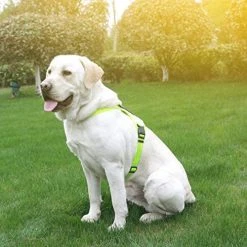 Mia's Pet Supply Leashes And Harness NOYAL In Training Dog Harness, Soft Breathable Mesh Dog Vest Harness