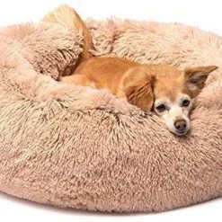 Mia's Pet Supply : Friends Forever Luxury Marshmallow Cat Bed,