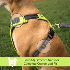 Mia's Pet Supply Tuff Mutt Dog Harness for Medium & Large Breeds - Easy On/Off, Durable Leash & Harness Set 14 Mia's Pet Supply Leashes And Harness Tuff Mutt Dog Harness For Medium & Large Breeds, Easy On Easy Off