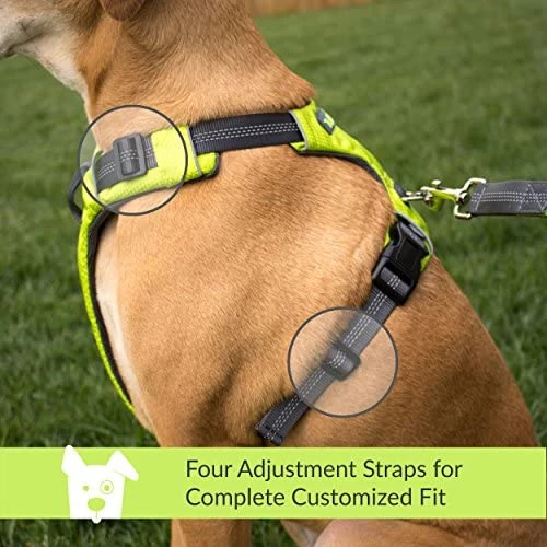 Mia's Pet Supply Tuff Mutt Dog Harness for Medium & Large Breeds - Easy On/Off, Durable Leash & Harness Set 5 Mia's Pet Supply Leashes And Harness Tuff Mutt Dog Harness For Medium & Large Breeds, Easy On Easy Off