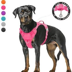 Mia's Pet Supply BARKBAY No Pull Dog Harness Large Step In Reflective Dog Harness Leashes And Harness
