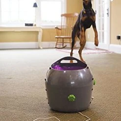 Mia's Pet Supply : PetSafe Automatic Ball Launcher Dog Toy, Tennis Ball Throwing Machine For Dogs